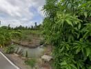 Exterior view of the property featuring lush greenery and a small water canal.