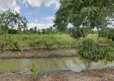 Lush garden with various fruit trees by a waterway