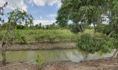 Lush garden with various fruit trees by a waterway