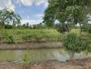 Lush garden with various fruit trees by a waterway