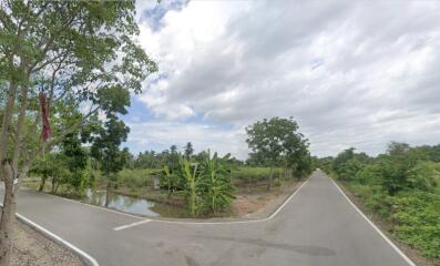 Scenic view of two diverging country roads surrounded by green trees and vegetation