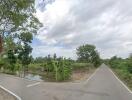 Scenic view of two diverging country roads surrounded by green trees and vegetation