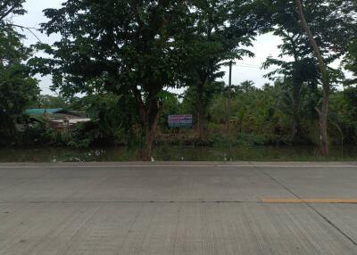 View of a road surrounded by dense greenery