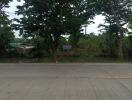 View of a road surrounded by dense greenery