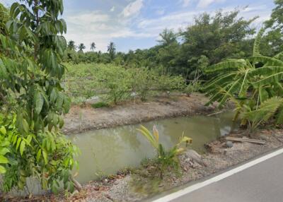 View of agricultural field with trees and a water canal