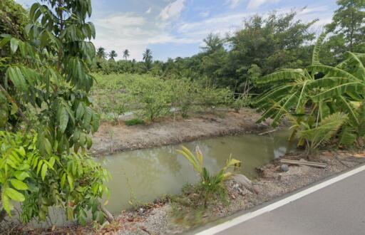 View of agricultural field with trees and a water canal