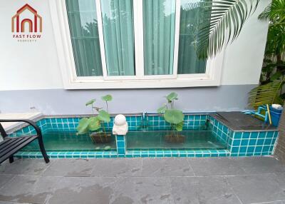 Small outdoor water feature with plants and bench