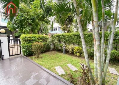 Well-maintained garden with greenery and pathway