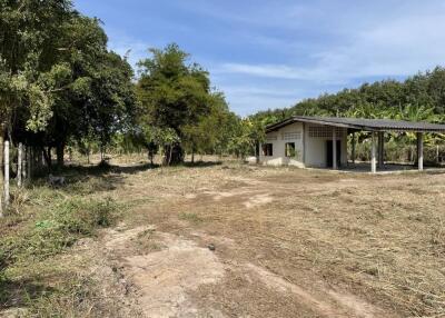 Rural property with small building and surrounding vegetation