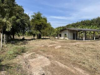 Rural property with small building and surrounding vegetation