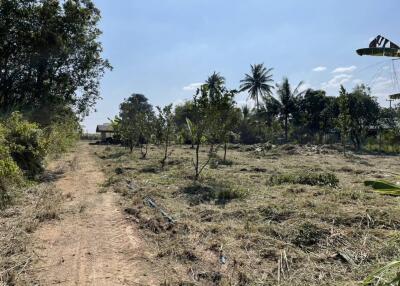 Vacant land with trees and clear blue sky