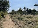 Vacant land with trees and clear blue sky