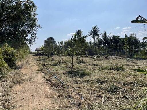 Vacant land with trees and clear blue sky