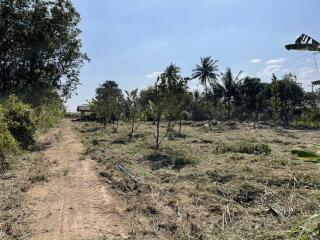 Open land with trees and clear sky