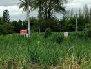 Plot of land with greenery and trees