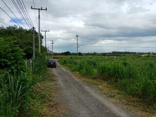 Remote country road near green fields and trees with overhead power lines