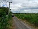 Remote country road near green fields and trees with overhead power lines