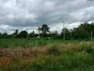 Open land with greenery and power lines