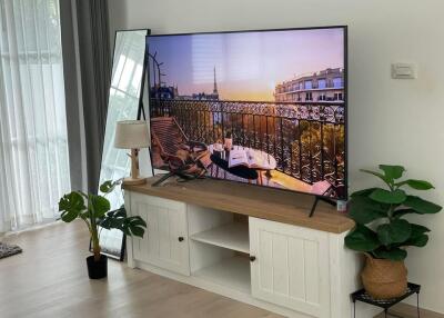 Cozy living room with a large TV and indoor plants