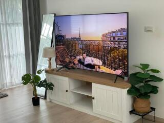 Cozy living room with a large TV and indoor plants