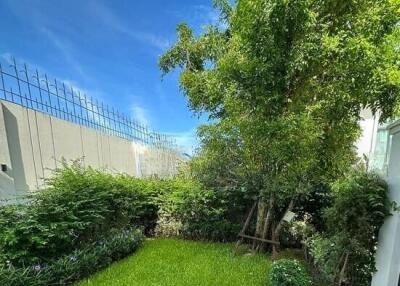 Lush green backyard with lawn and trees