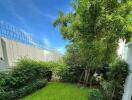 Lush green backyard with lawn and trees