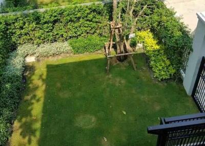 Aerial view of a well-maintained garden with a tree and surrounding hedges.