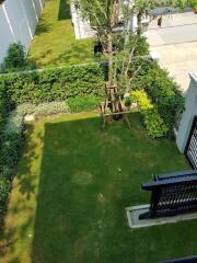 Aerial view of a well-maintained garden with a tree and surrounding hedges.