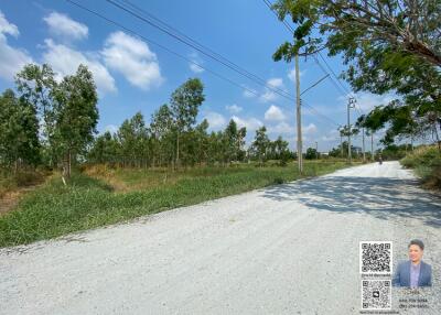 Open land with trees and road