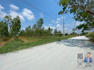 Open land with trees and road