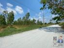 Open land with trees and road