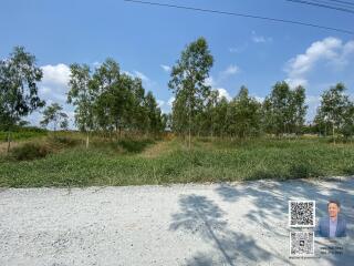 Plot of land with grass, trees and a clear sky