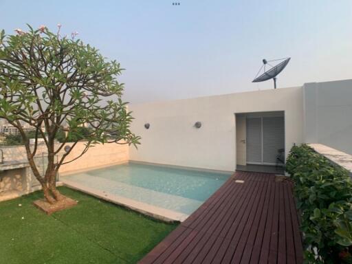 Rooftop pool area with wooden deck