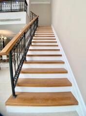 Interior staircase with iron railing