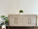 Modern sideboard cabinet with decor plants