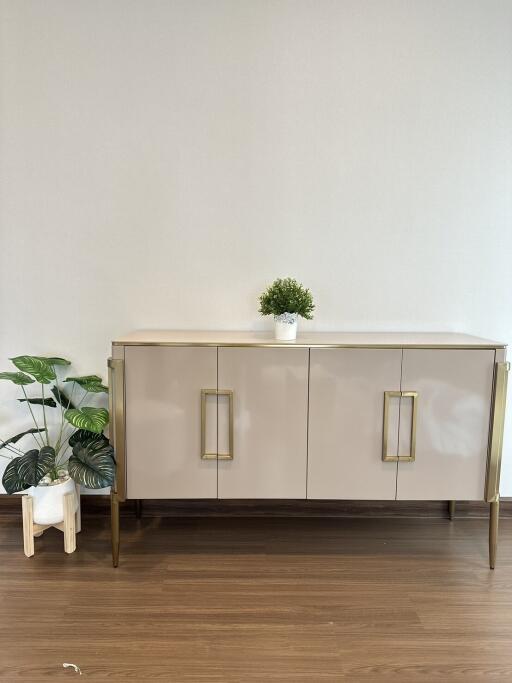 Modern sideboard cabinet with decor plants