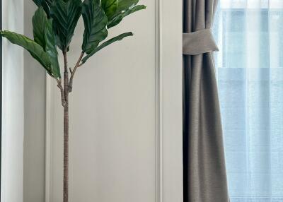 Living room with plant and window curtains