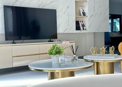 Modern living room with TV and marble decor