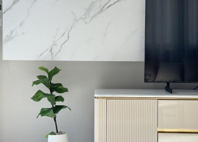 Modern living room with a TV, plant, and console table