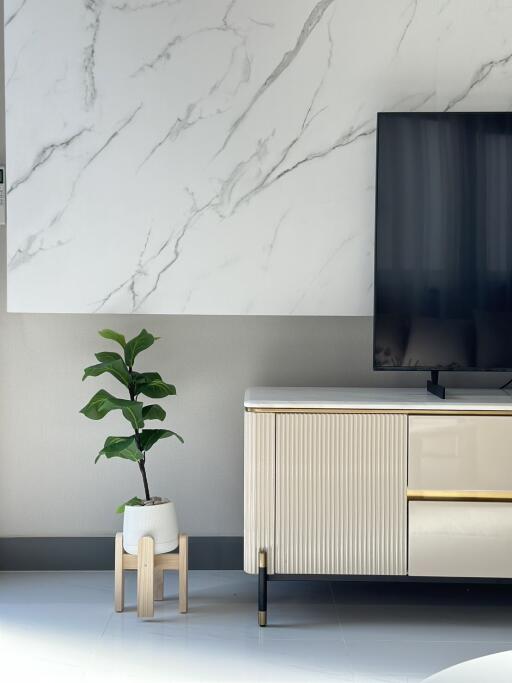 Modern living room with a TV, plant, and console table