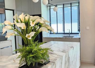 Modern kitchen with marble countertop and indoor plant decoration