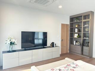 Modern living room with TV and built-in shelves