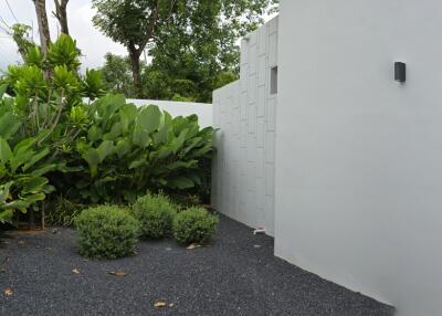 Outdoor space with plants and gravel pathway