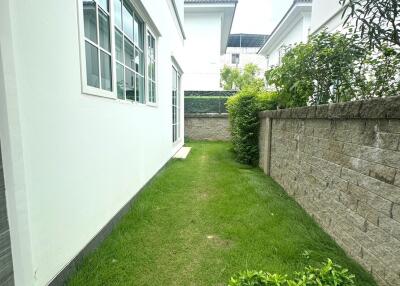 Side yard with grass and shrubs