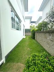 Side yard with grass and shrubs