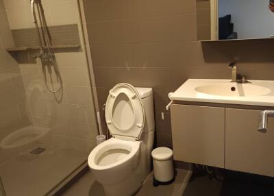 Modern bathroom with shower and vanity