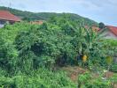 View of Backyard with Greenery