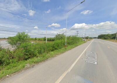 View of the roadside with surrounding greenery and power lines