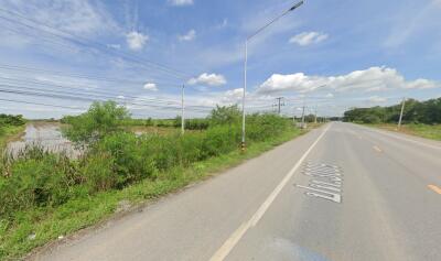 View of the roadside with surrounding greenery and power lines