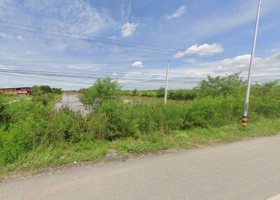 Vacant land with greenery